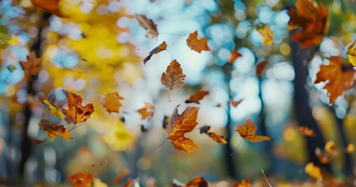 Pronóstico del clima en Columbus: lluvias y temperaturas frescas para mañana