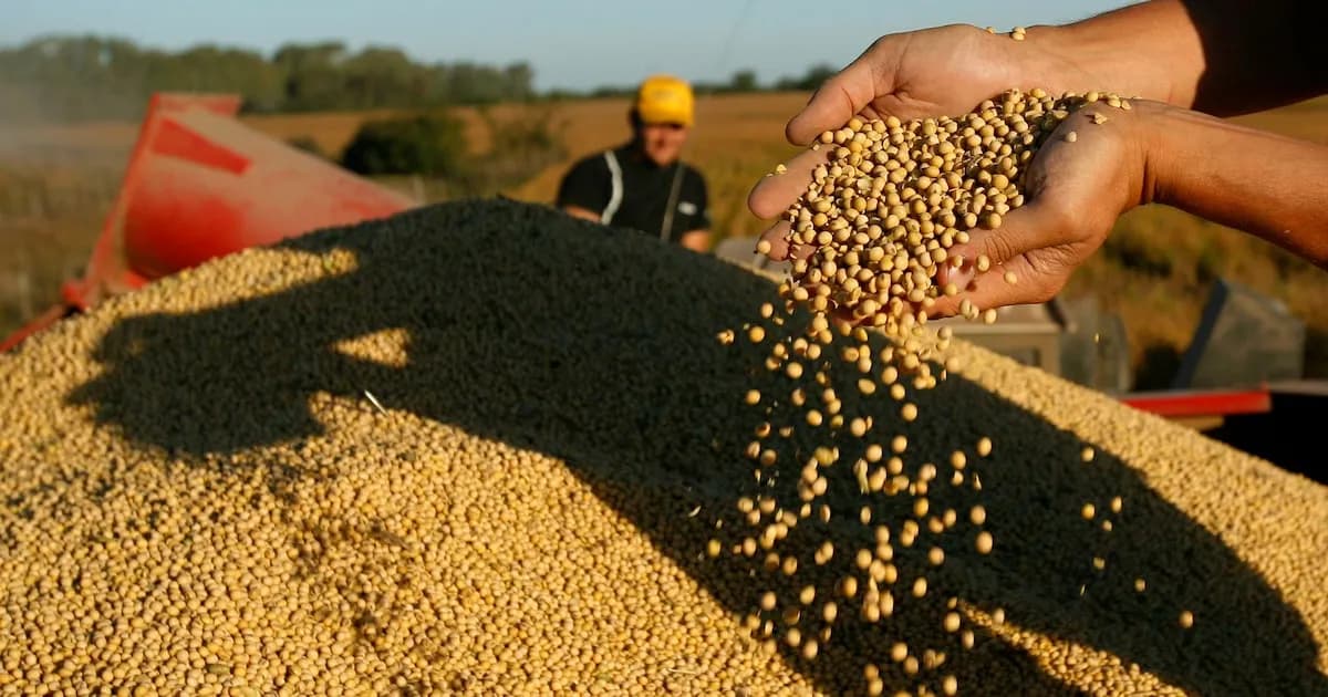 Milei promete reformas para el agro: nueva Ley de Semillas y reducción de retenciones