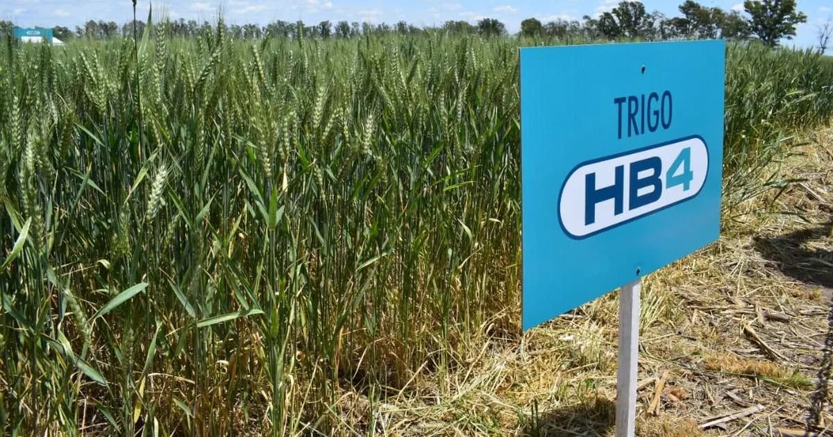 Crisis y conflicto interno en Bioceres S.A.: la lucha por el control se intensifica