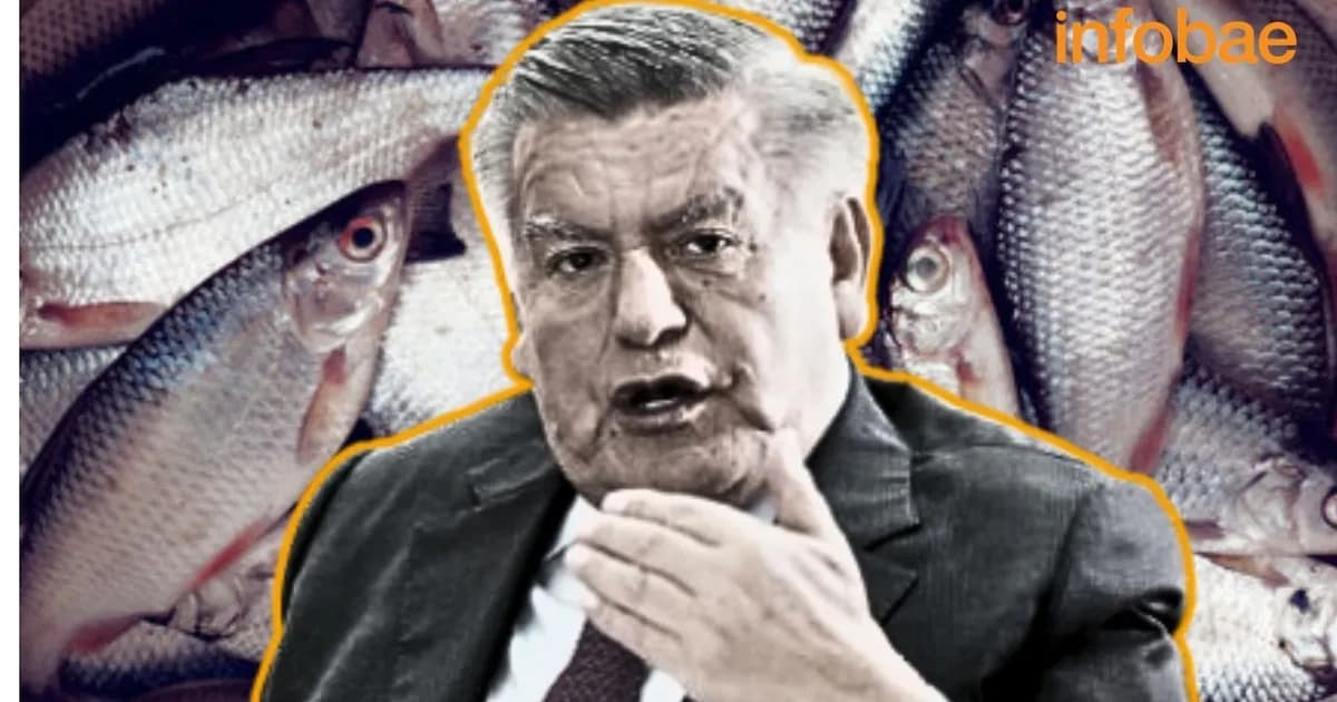 Nuevo intento del Congreso por regularizar embarcaciones pesqueras ilegales