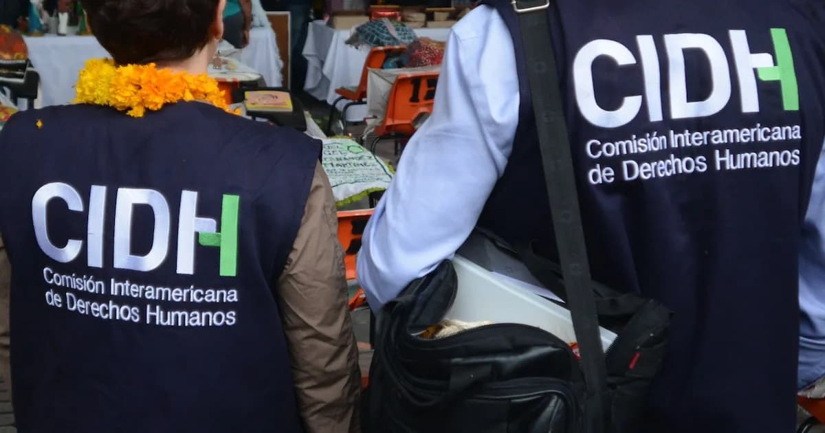 La CIDH elige a Stuardo Ralón Orellana como nuevo presidente para 2026