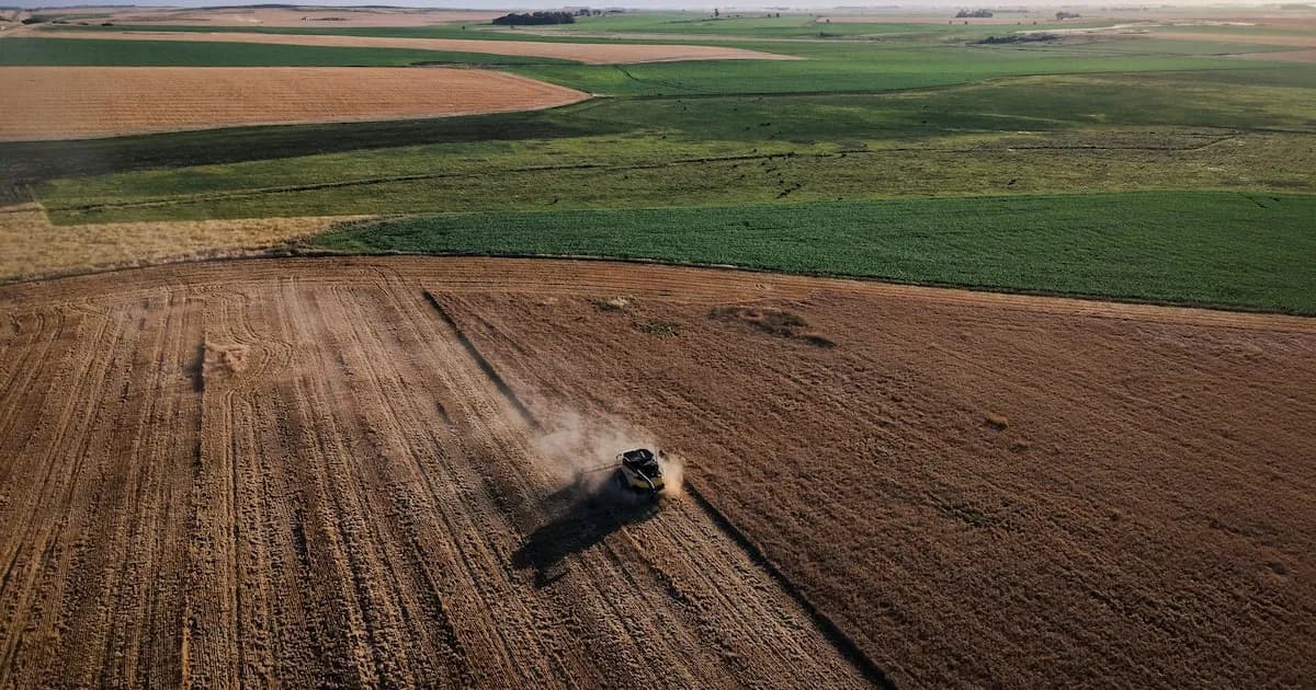 Inversores pueden acceder al campo argentino desde USD 50 con rendimientos atractivos
