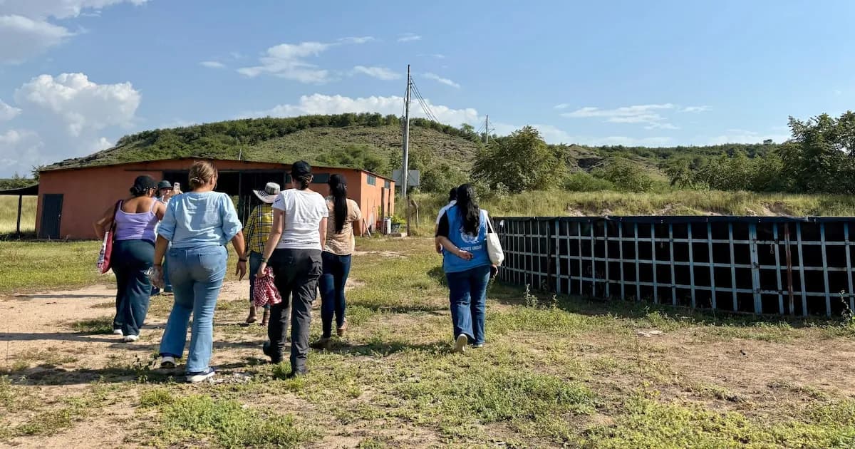 El gobierno asegura subsidios para excombatientes de las Farc: detalles y montos