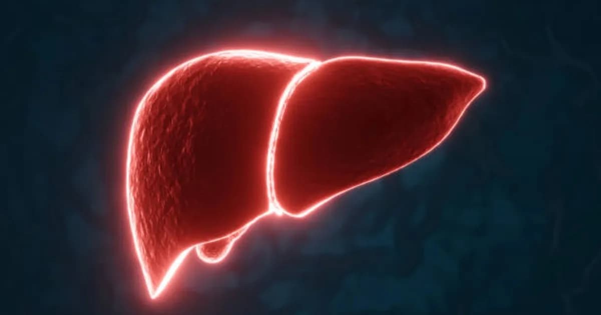 Hígado graso, hepatitis y cirrosis: diferencias clave entre estas condiciones hepáticas