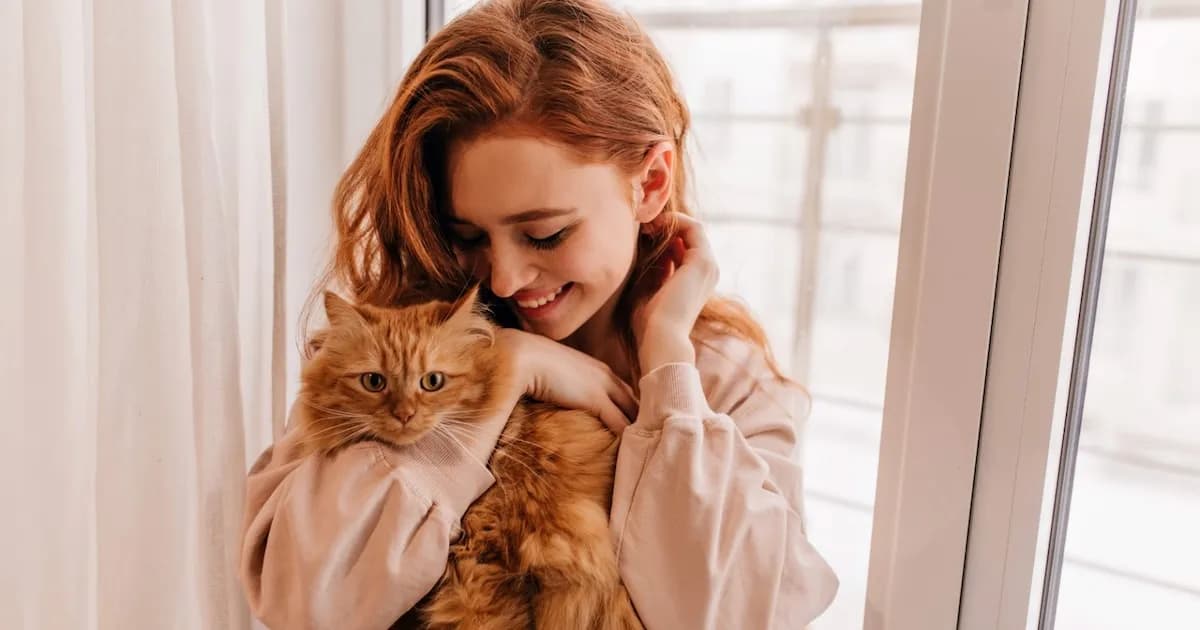 Consejos para adoptar un gato: bienestar y cuidados según su edad