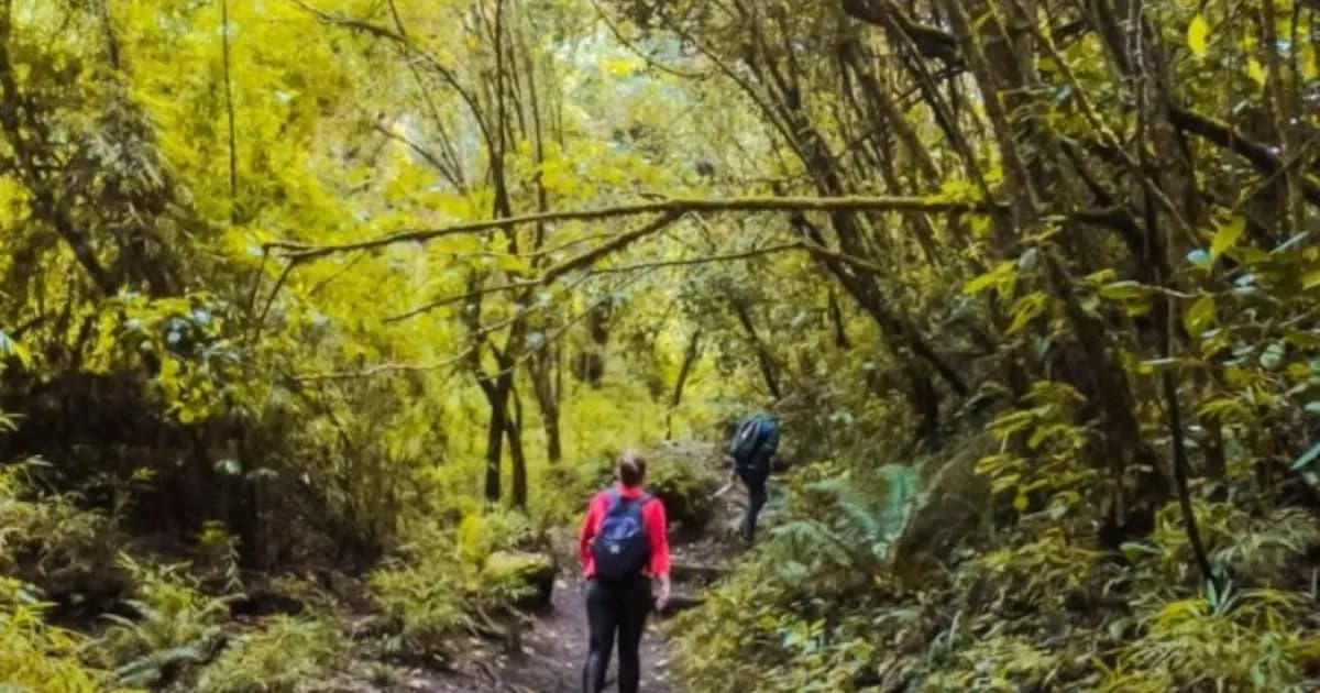 Cierre temporal de cerros orientales en Bogotá por elecciones del Congreso