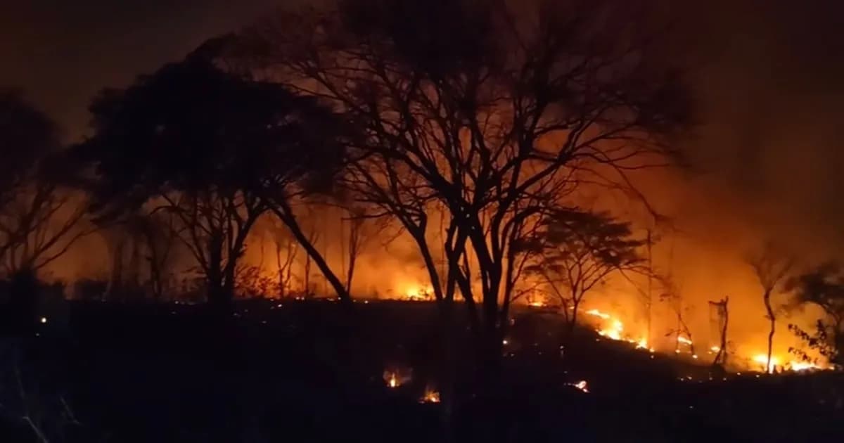 Costa Rica enfrenta 26 incendios forestales en dos meses, alertan autoridades ambientales