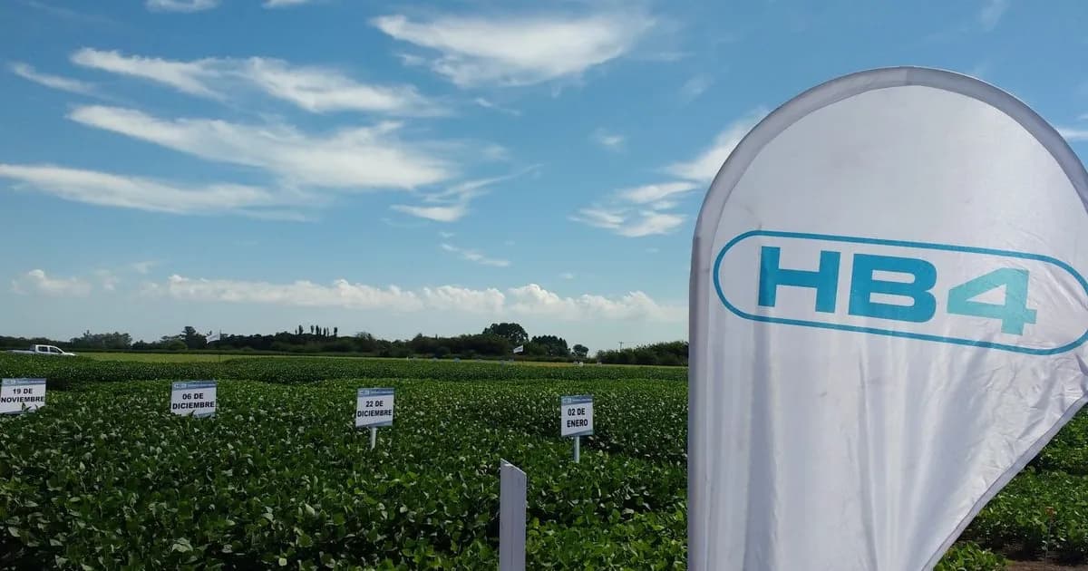 Bioceres S.A. declara quiebra en medio de disputas por el control del holding