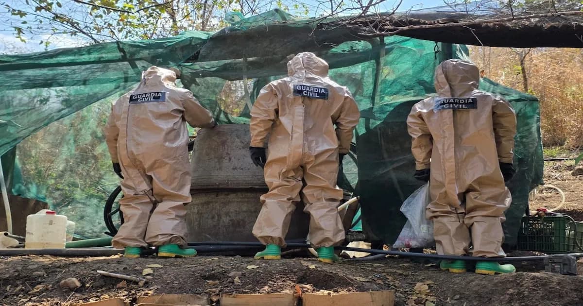 Incautan más de 2 mil millones de pesos en químicos para drogas en Michoacán