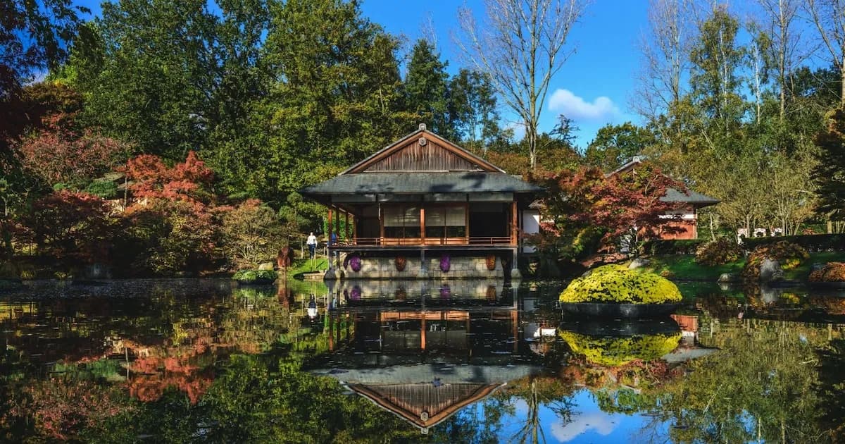 Descubrí el jardín japonés en Bélgica que te transporta a Asia en solo una hora
