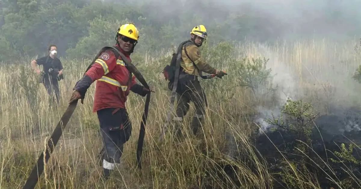 Incendios en el Parque Nacional Los Alerces: Continúa el monitoreo ante la sequía