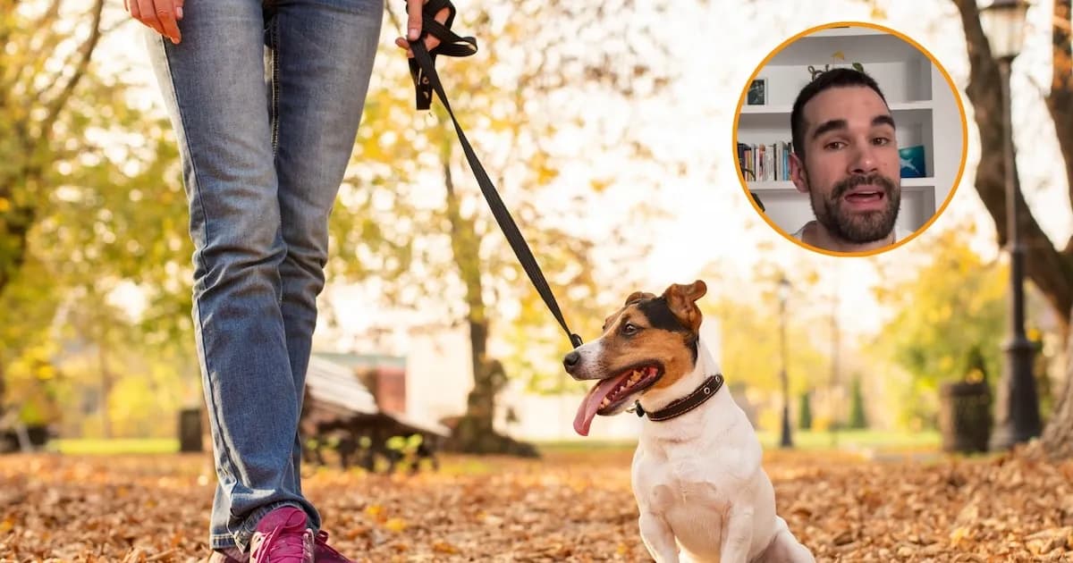 Cómo evitar que tu perro ladre al pasear: consejos de un estudiante de veterinaria