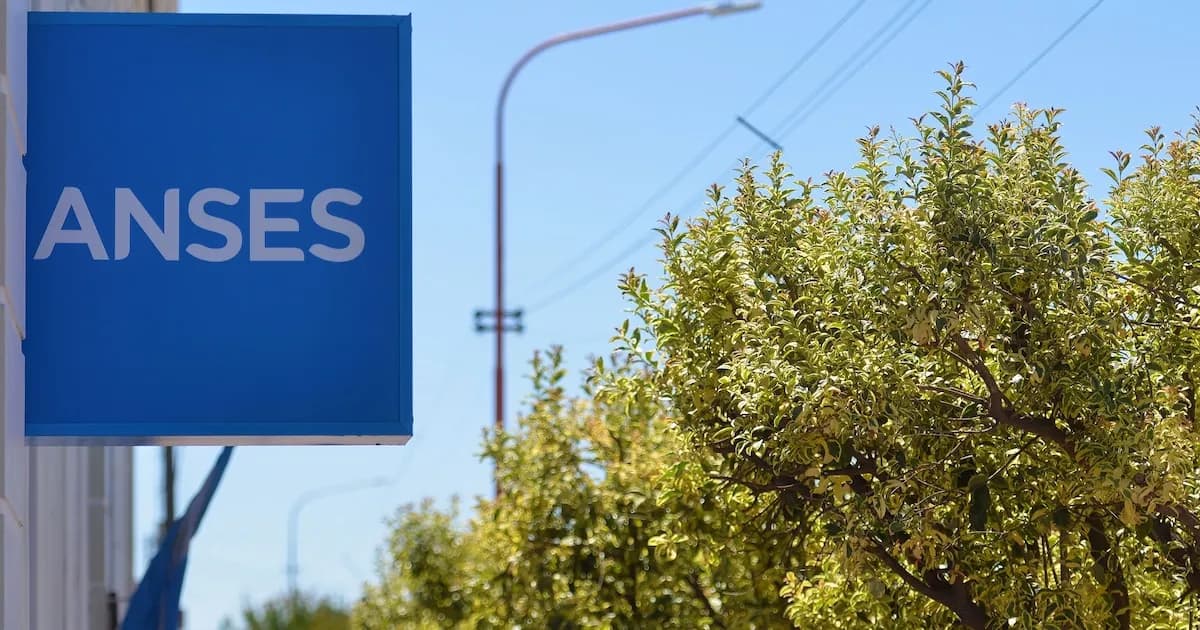ANSES: Fechas de cobro de marzo 2026 para DNI que terminan en 3