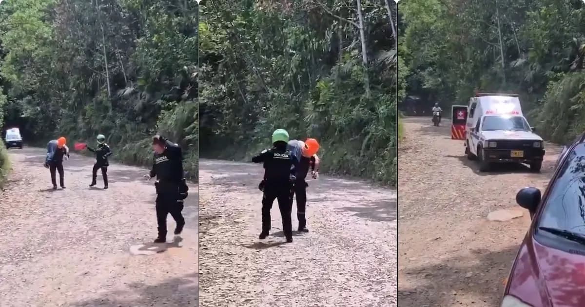 Trágico ataque de abejas causa muerte de un hombre mayor en Colombia
