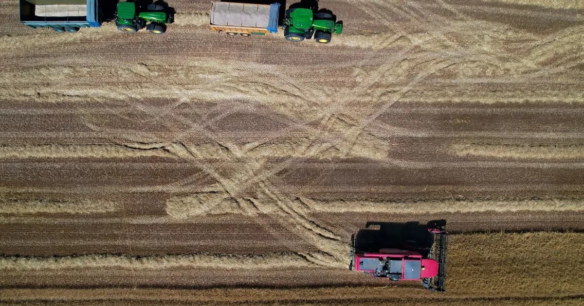 El campo español enfrenta un cambio urgente para sobrevivir sin subsidios europeos