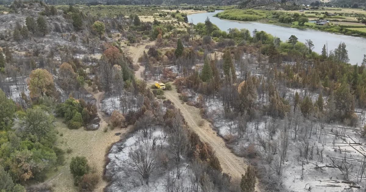 Chubut: Continúa la lucha contra incendios en el Parque Nacional Los Alerces