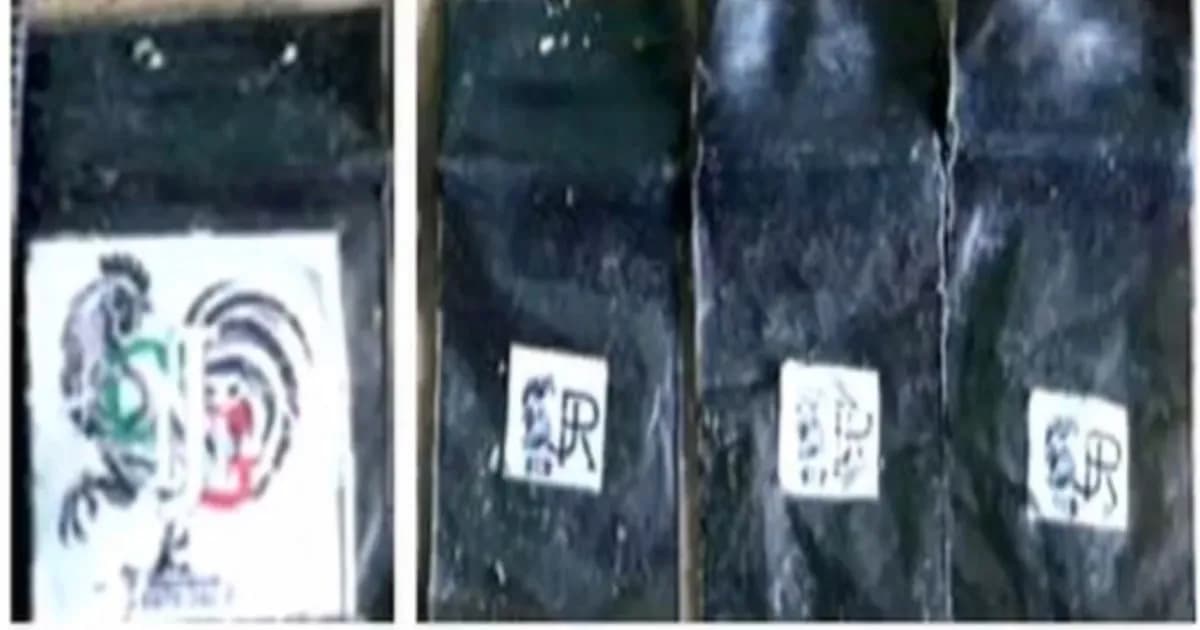 Operativo en Morelos: 15 personas, incluidos menores, bajo la lupa por vínculos con el CJNG