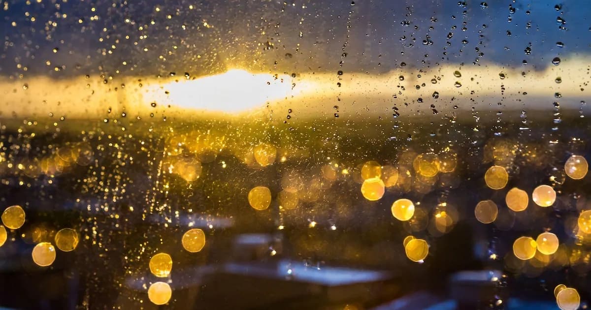 Clima en Filadelfia: Pronóstico para el jueves 19 de febrero