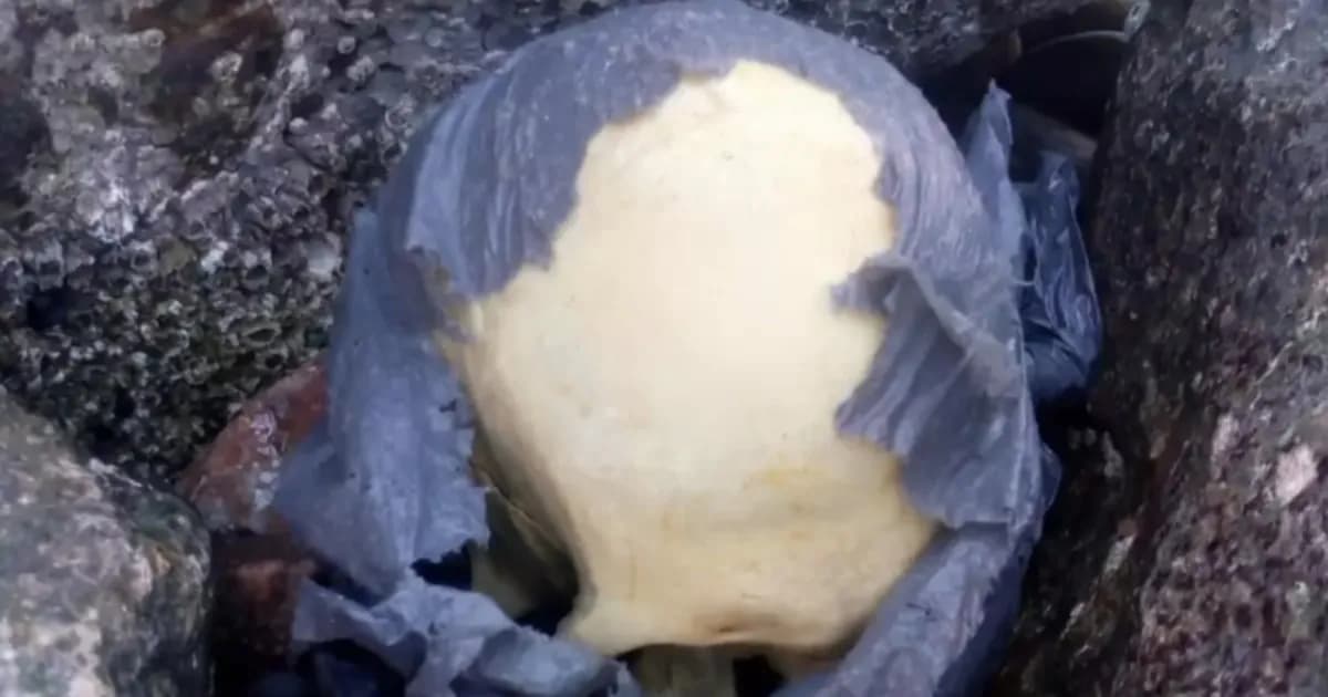 Descubren cráneo humano en Playa Unión, Chubut