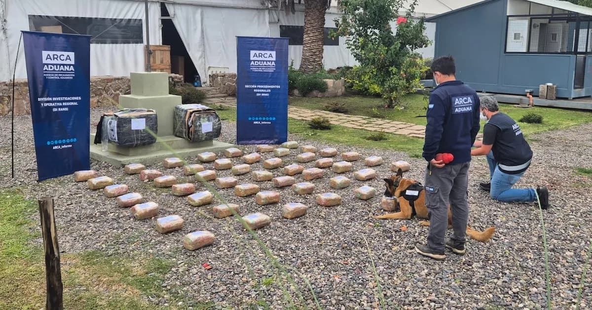 Operativo en Salta: incautan más de 55 kilos de marihuana en encomiendas