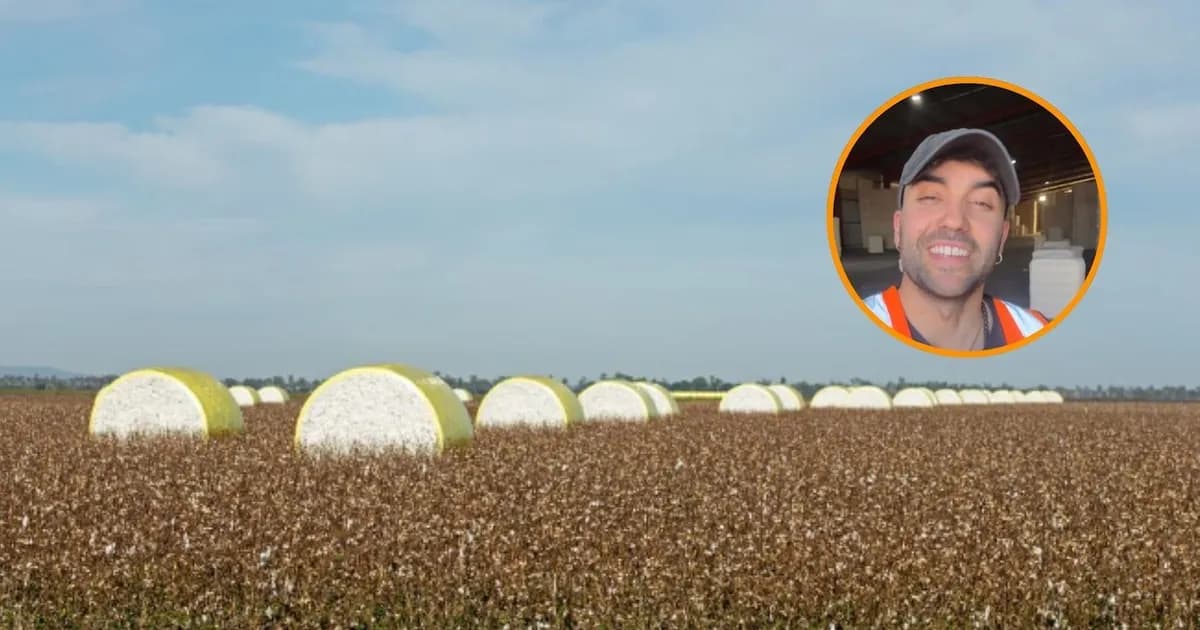 Un español en Australia: Cómo Mario facturó 35.000 euros en la temporada del algodón