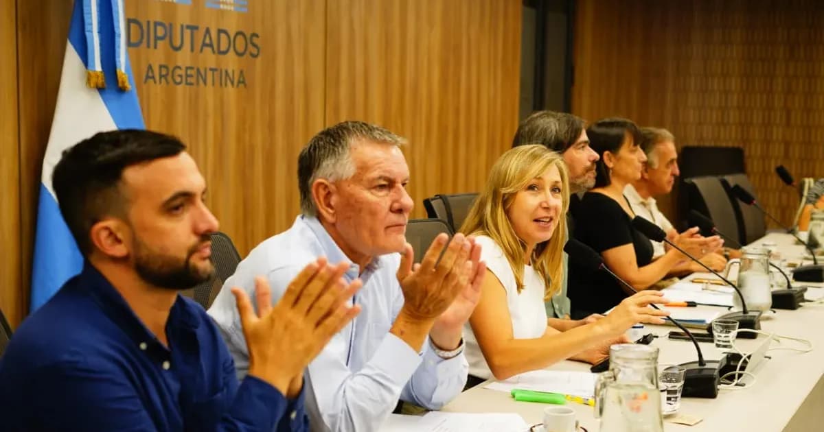 La oposición se moviliza antes de la audiencia pública sobre la Ley de Glaciares