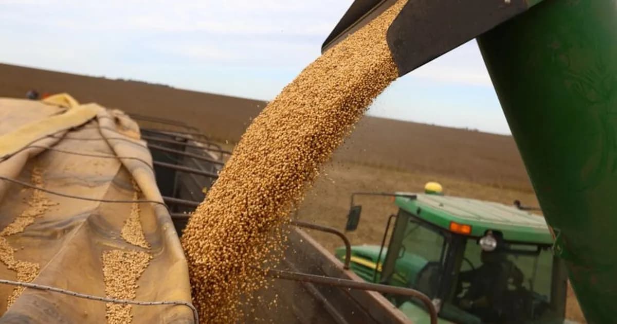 La soja alcanza los USD 440 por tonelada por tensiones en Medio Oriente