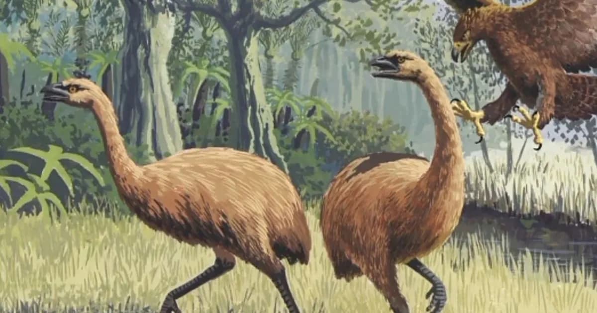 Un innovador proyecto busca revivir al moa en Nueva Zelanda con ciencia y cultura maorí