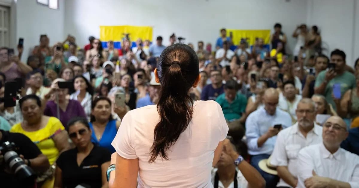 Suspensión de Revolución Ciudadana por 9 meses afecta su participación electoral