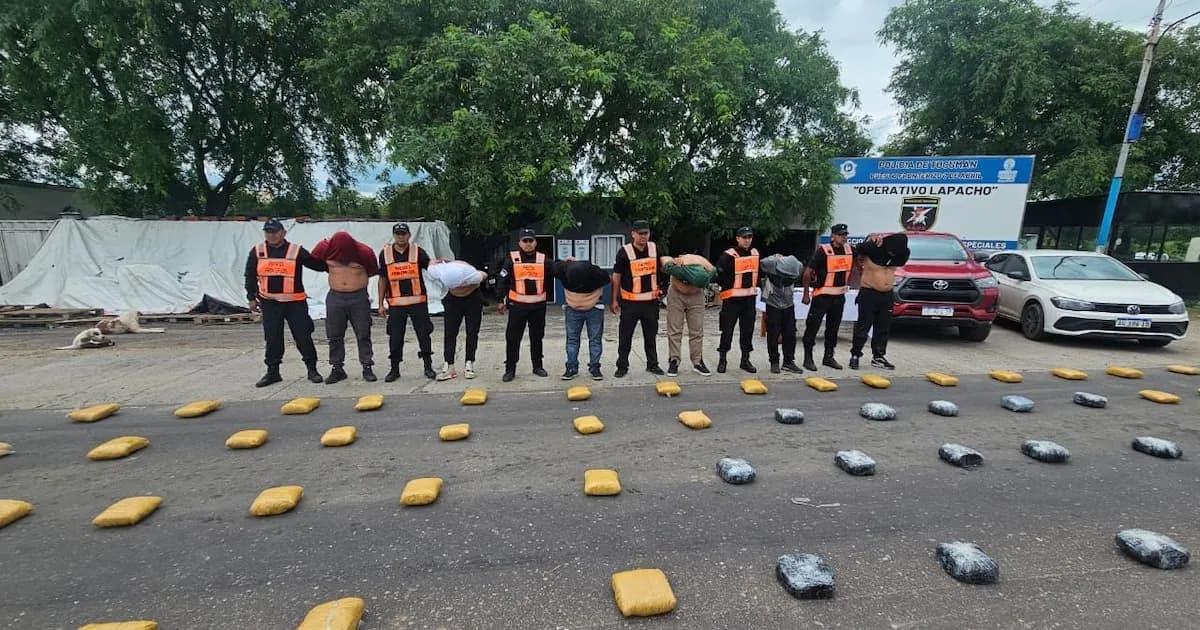 Descubren 203 kilos de marihuana en Tucumán: seis detenidos en operativo policial