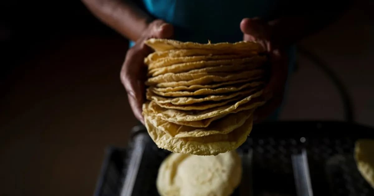 Tamaulipas: Multas por venta de tortillas en hieleras en comercios locales