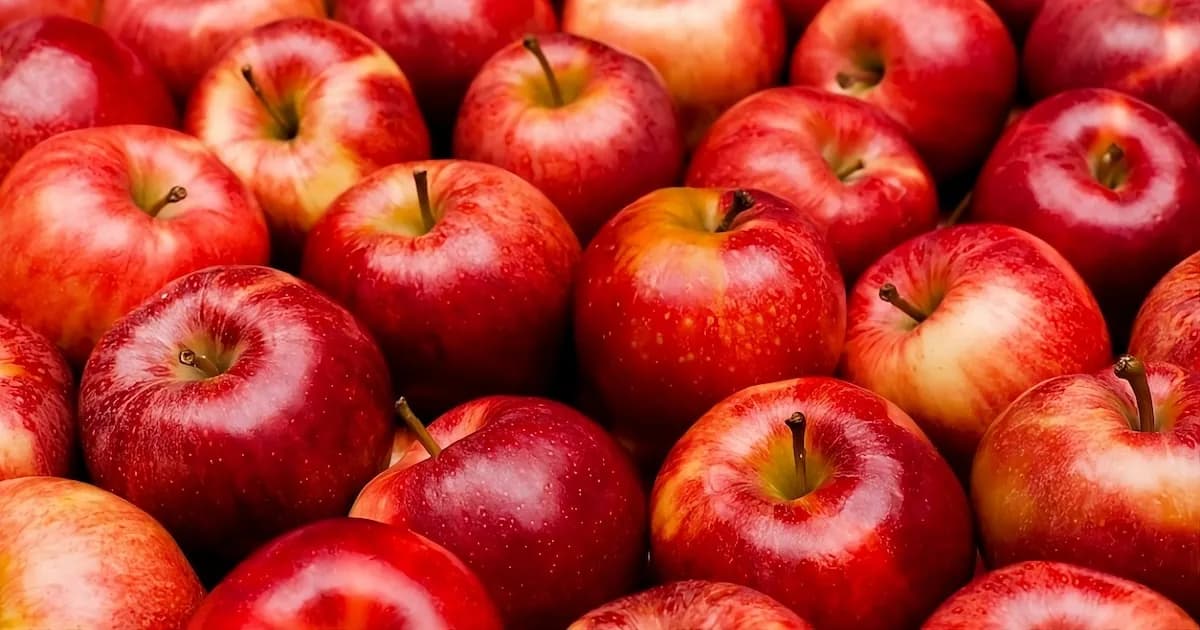 Beneficios de las manzanas para la salud renal y general