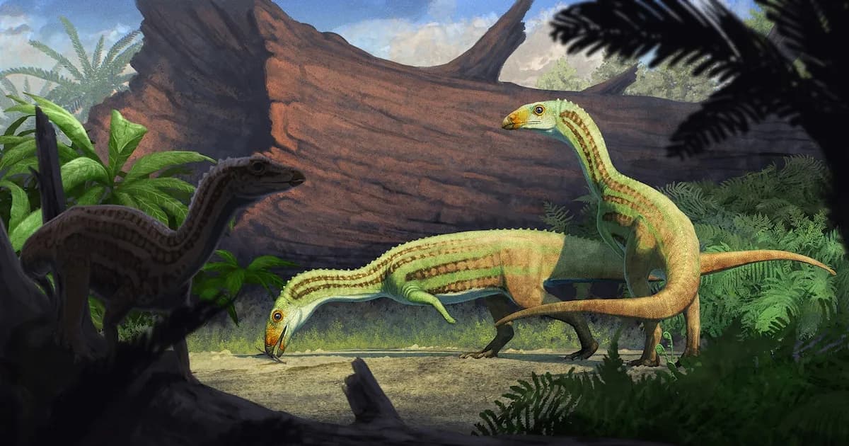 Un hallazgo paleontológico revela un antiguo pariente de los cocodrilos con curiosa locomoción