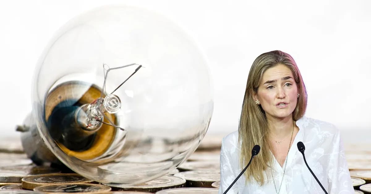 Más de la mitad de familias numerosas y jubilados en España reciben un bono social innecesario