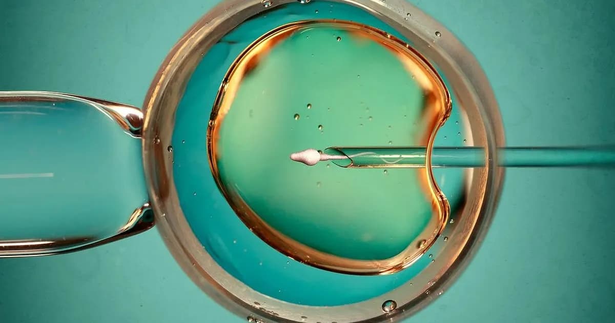 Estudio revela que tratamientos de fertilidad no elevan riesgo de cáncer en mujeres