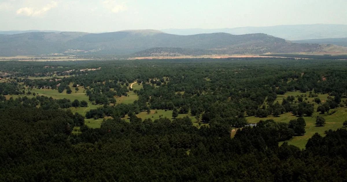 Candidatos a la Presidencia de Castilla y León dedican jornada a la familia tras la campaña electoral