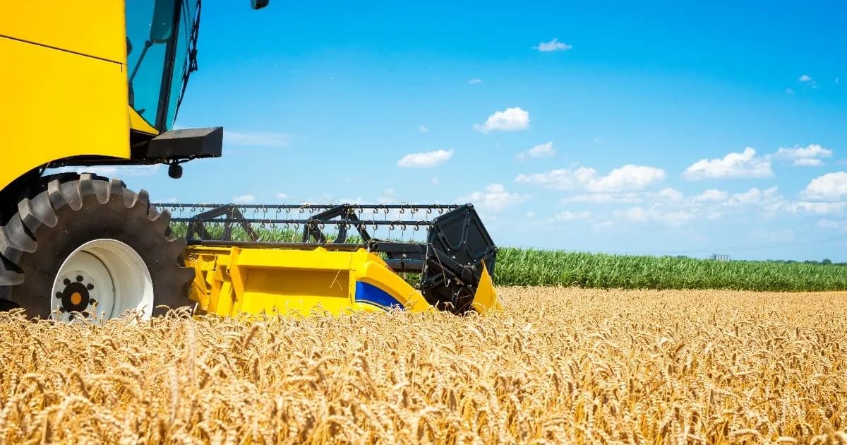 Argentina podría producir 251 millones de toneladas de granos sin retenciones en 10 años