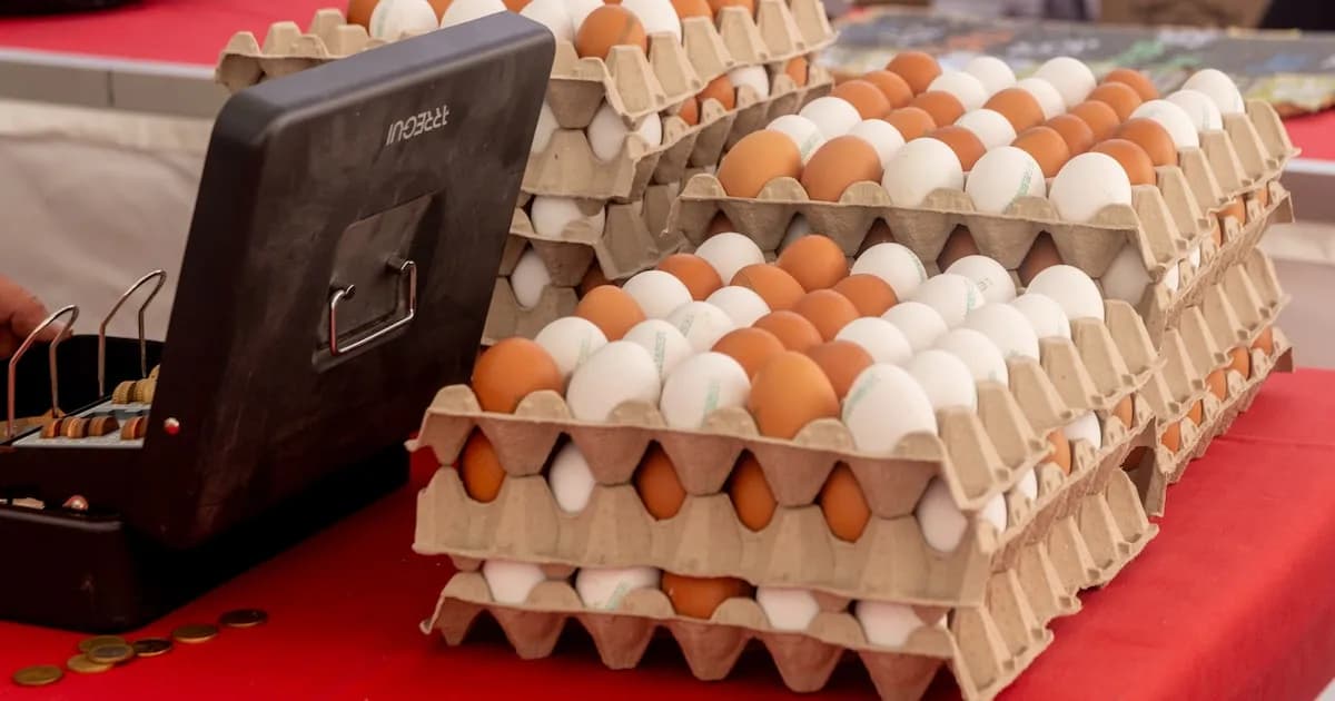 Aumento del 30% en los huevos y 15% en la carne impactan la inflación en España