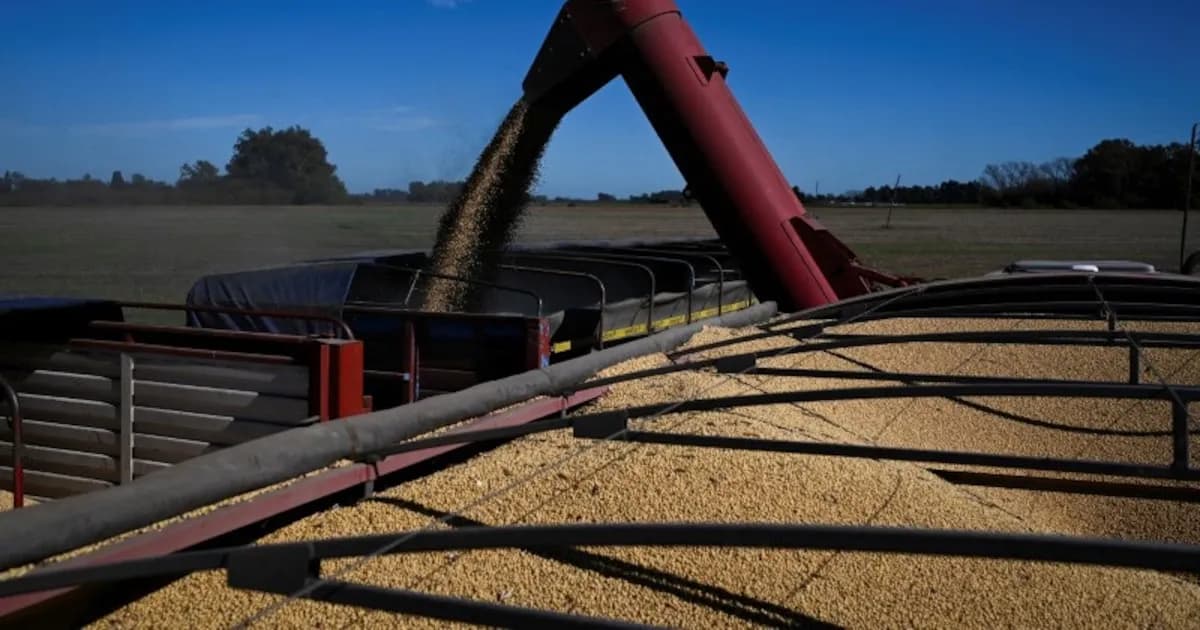 La soja alcanza precios récord, pero la sequía reduce la producción en un millón de toneladas