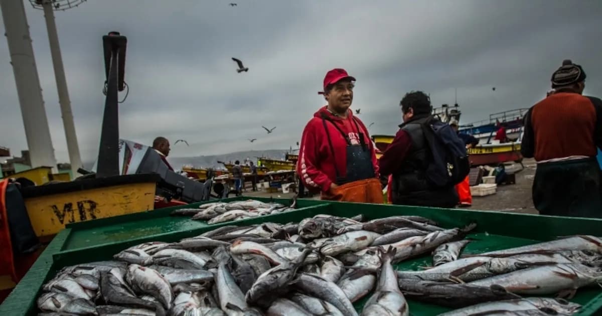 Prohibición de pesca de merluza hasta junio de 2026 para preservar la especie