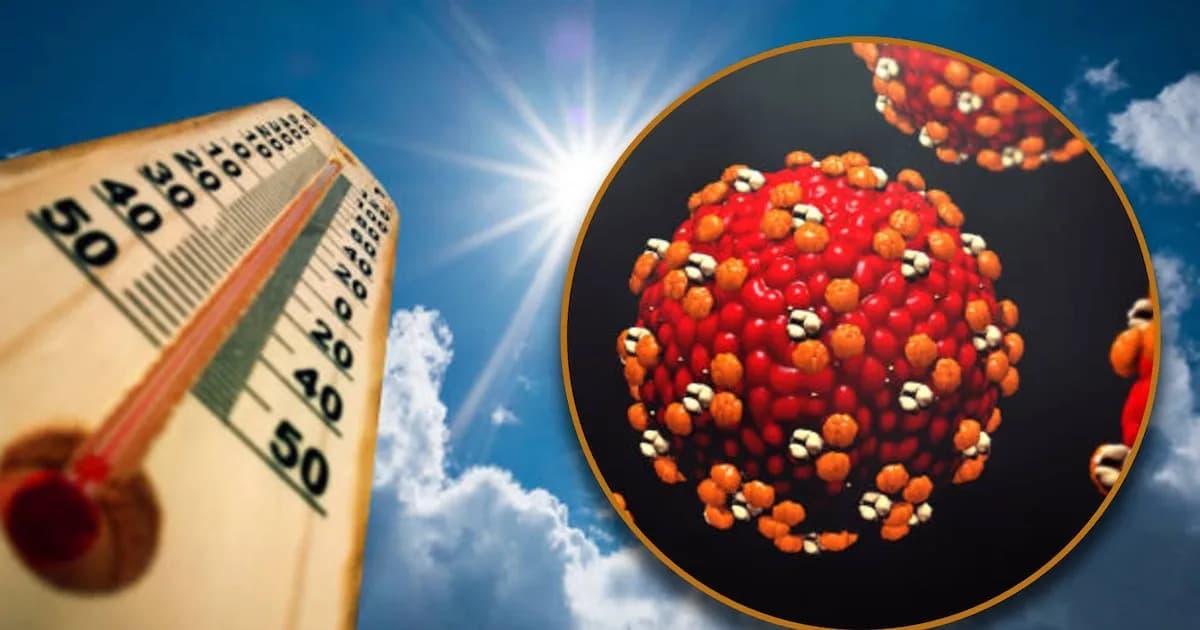 Sanidad: ¿Tiene algún resultado el calor sobre el reciente brote de sarampión en México? Esto se sabe