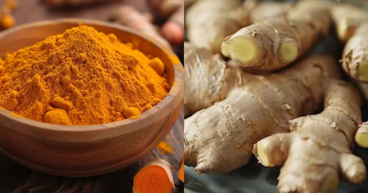 Cúrcuma y jengibre: raíces saludables que aportan beneficios respaldados por la ciencia
