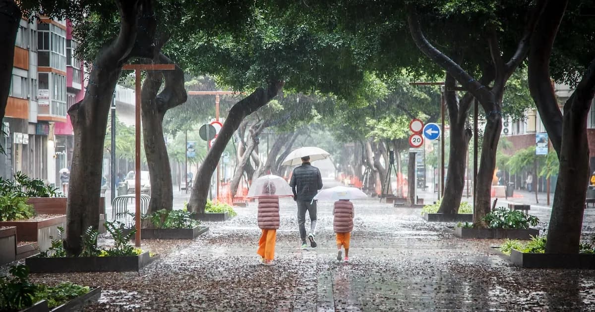 La borrasca Therese impactará Canarias: fuertes lluvias y nevadas en las montañas