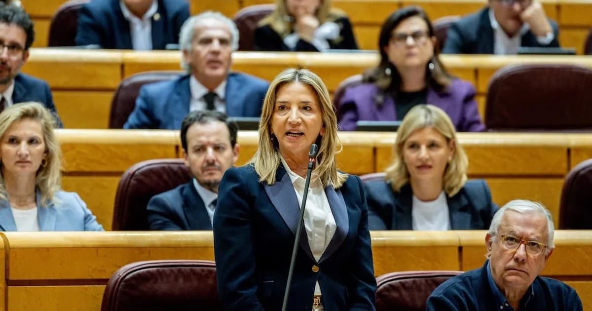 El PP exige a la SEPI información sobre el rescate de Plus Ultra en el Senado