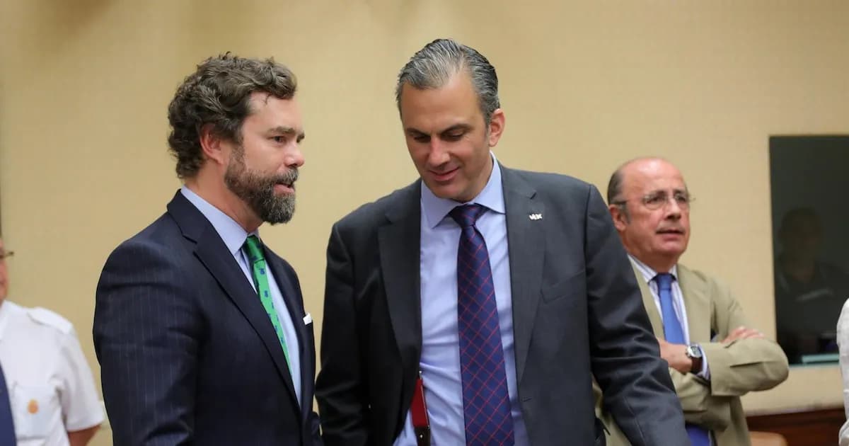 Exdirigentes de Vox piden un congreso extraordinario para redefinir el rumbo del partido