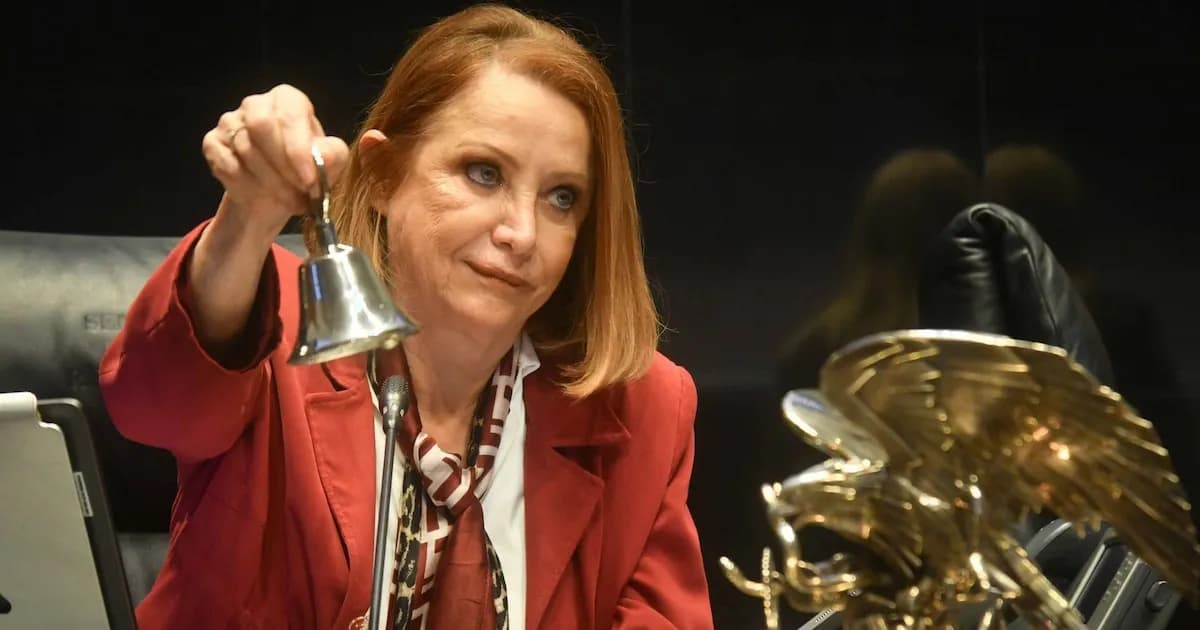 El Senado inicia el análisis del Plan B, que busca reformar la política electoral