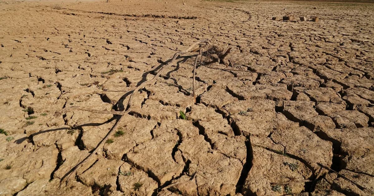 Más de 225 millones sufrieron calor extremo en invierno, la mayoría en África, revela estudio
