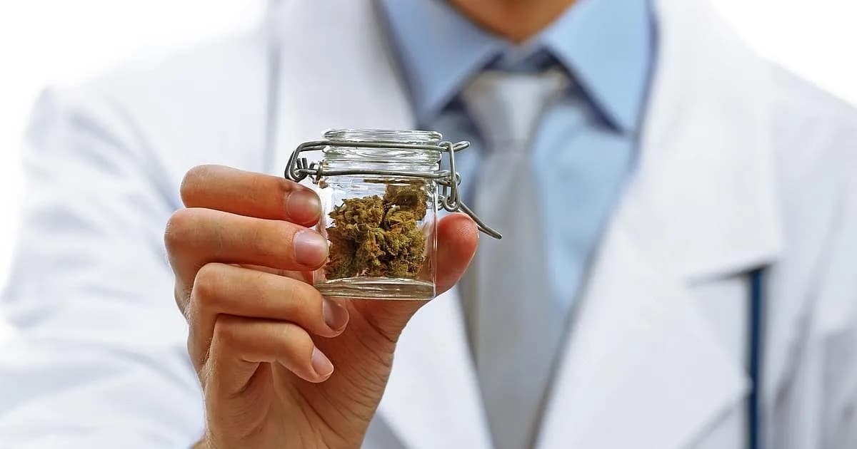 Estudio revela escasa eficacia del cannabis en trastornos mentales