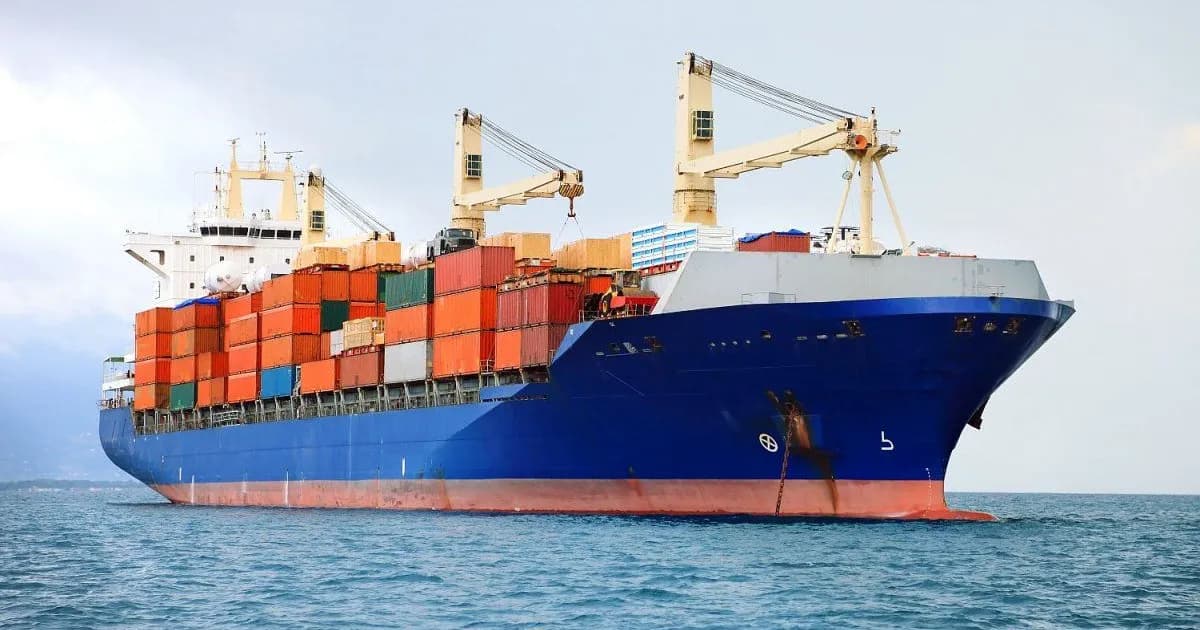 Caída del superávit comercial argentino a u$s788 millones en febrero: un signo preocupante