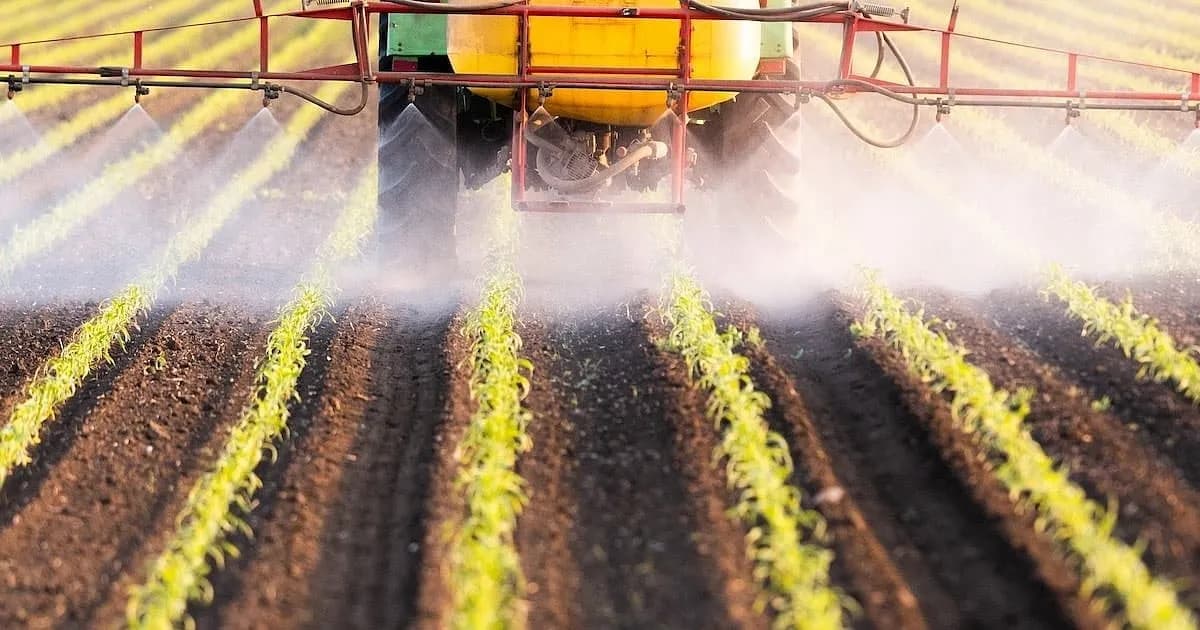 El impacto de pesticidas en la salud neonatal: estudio revela riesgos durante la gestación